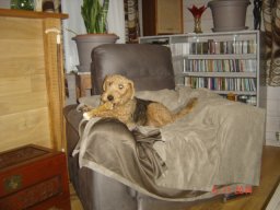 le_nouveau_bobby_20211126_1885785018